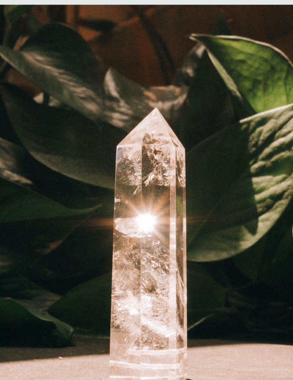 Clear quartz crystal catching warm sunlight